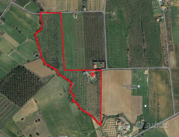 Azienda Agricola - Grosseto