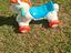 Immagine 3