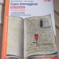 libro di letteratura 