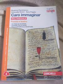 libro di letteratura 