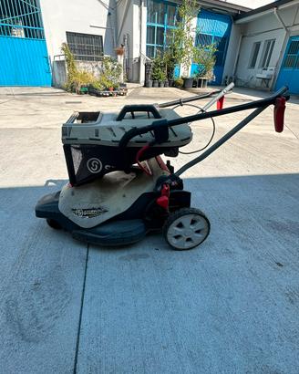 Tagliaerba elettrico Sterwins