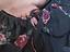 Immagine 6