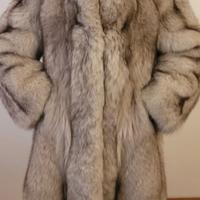 Pelliccia volpe della Groenlandia a pelli interi