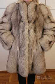 Pelliccia volpe della Groenlandia a pelli interi