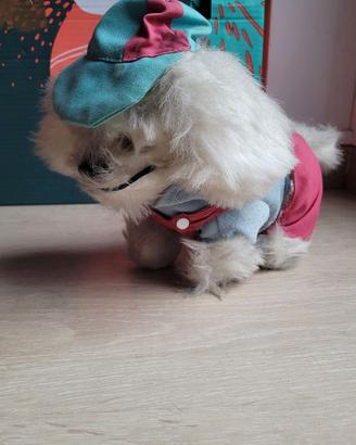 Vintage peluche cane elettronico meccanico