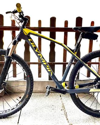 Mtb Olympia Iron Carbonio