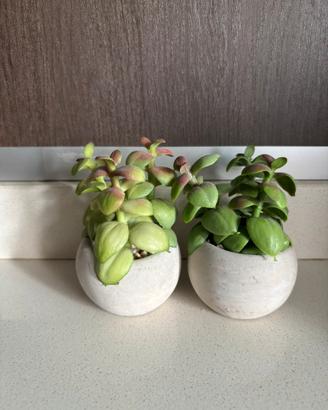 2 piccoli vasi con piante artificiali