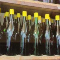 Bottiglioni per vino