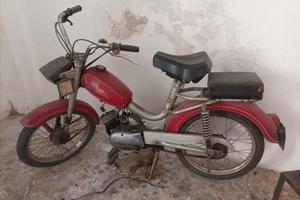 Motorino Cimatti