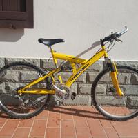 Mountain bike Vicini