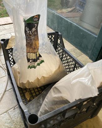 Sabbia per terrario