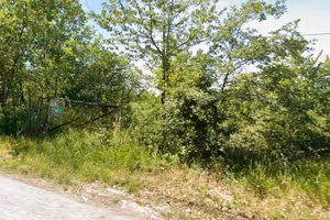 Terreno agricolo