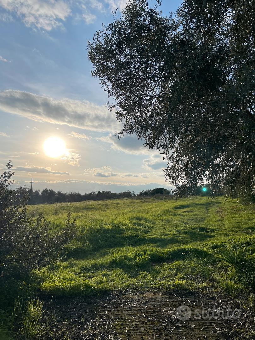 Terreno agricolo - Vista 4