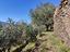 Immagine 25