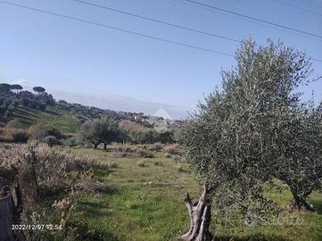 TER. AGRICOLO A MENTANA