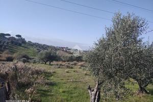 TER. AGRICOLO A MENTANA