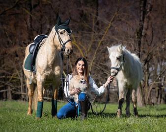 Splendida cavalla e puledro