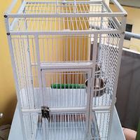 voliera per pappagalli 