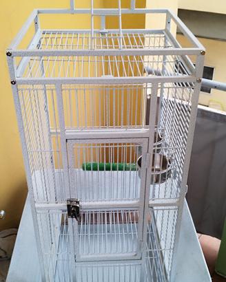 voliera per pappagalli 