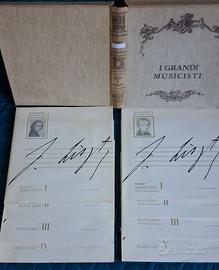 Vinili LP F. Liszt “I Grandi Musicisti” -8 dischi.