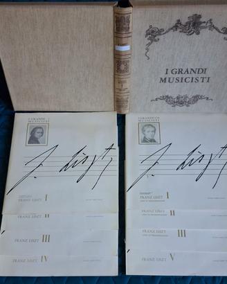 Vinili LP F. Liszt “I Grandi Musicisti” -8 dischi.