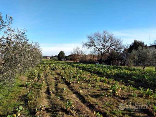 Terreno edificabile a 2 km dal paese