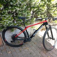 MTB Rockrider XC 900