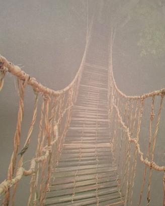 stampa su tela viaggio nella giungla IKEA