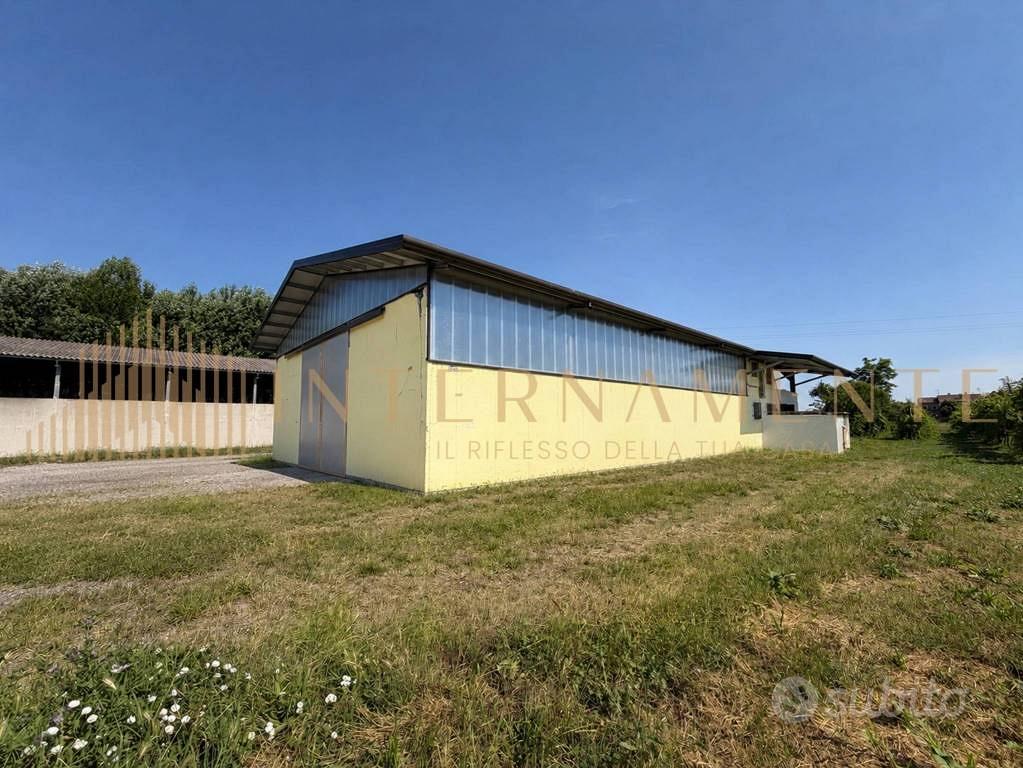 Terreno di 16000 m² a Piove di Sacco - Vista 5