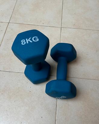 Coppia manubri 8 kg
