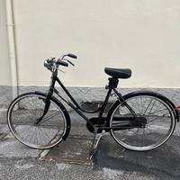 Bicicletta Regina