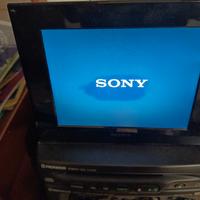 cornice digitale sony 