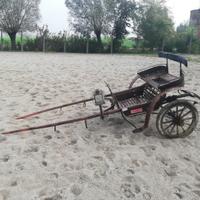 calesse carrozza per cavalli 