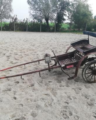 calesse carrozza per cavalli 