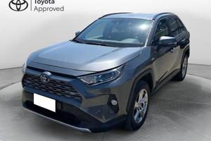 Toyota RAV4 2.5 vvt-ie hybrid Lounge 2WD e-cvt