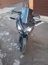 kawasaki sx1000