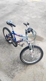 Bicicletta bambino "20
