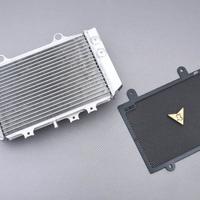 Radiatore BMW con Griglia G310 GS 2021 - 2024