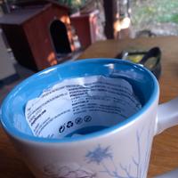 Tazza Frozen 2 il Segreto di Arendelle