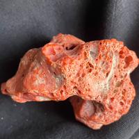 Corallo o pietra di corallo