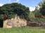 Immagine 11