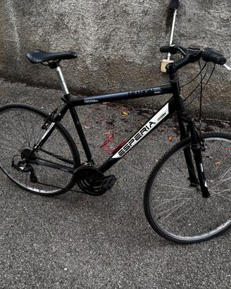 Bicicletta Ibrida Esperia Motion Crossline