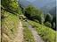 Immagine 9