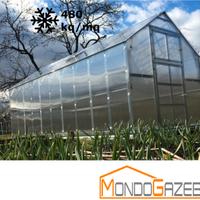 serra frozen gazebo 2,35x9,17 giardino orto piante