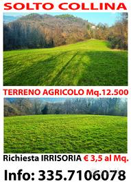 Terreno agricolo