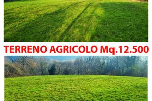 Terreno agricolo