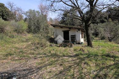 RUSTICO A SALISANO
