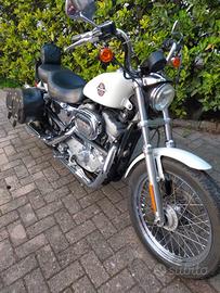 H-D Sportster XL 883 anno 2002
