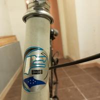 bici MTB Frejus sport serie 