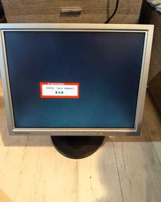 Monitor Samsung SyncMaster 151N - Funzionante